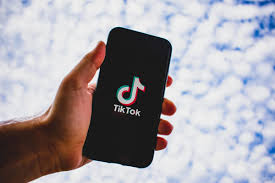 Get Creative With Downloaded TikTok Content