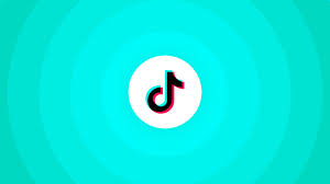 Ultimate Tiktok Video Download Guide
