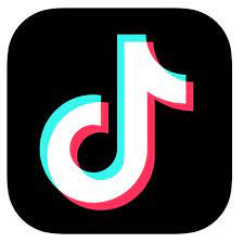 Snaptik Review: Easy Tiktok Video Downloader